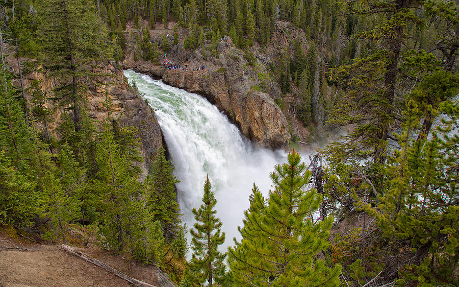 The Thundering Lower Yellowstone Falls Photograph
