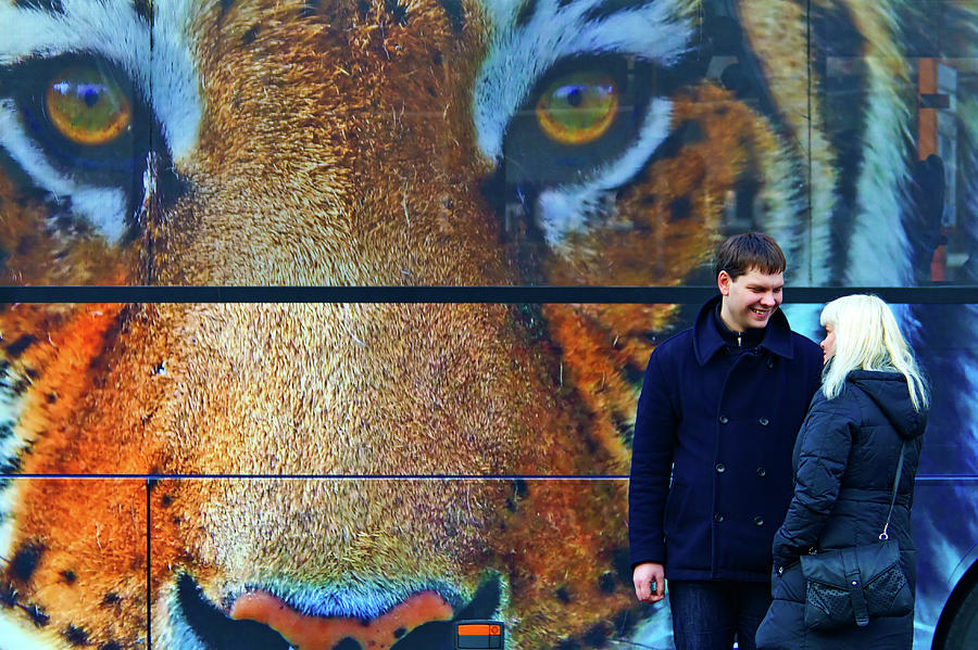 The tiger behind Photograph by Roberto Pagani