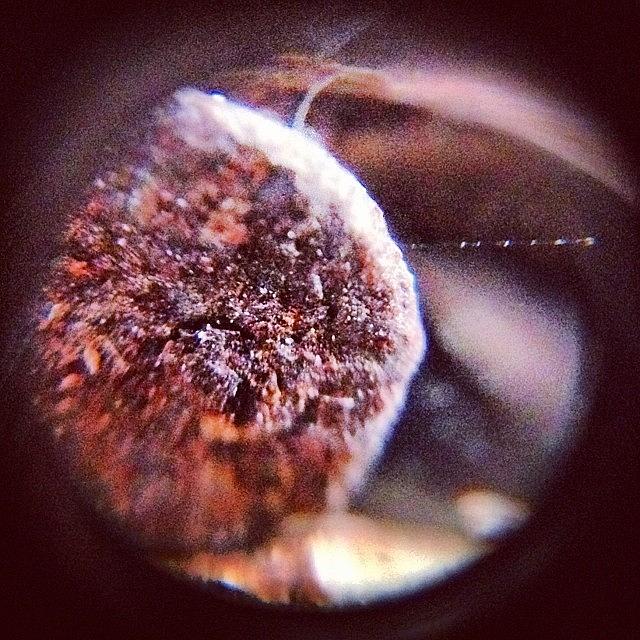 The Tip Of A Rusty Nail. Thanks Mark & Photograph by Luke James Live