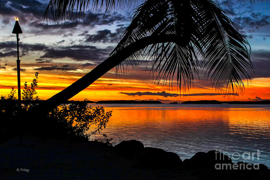 The Torch The Island Sunset and The Lone Palm Photograph by Rene Triay FineArt Photos