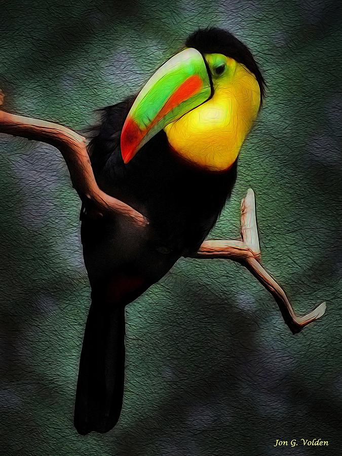 The Toucan Painting by Jon Volden