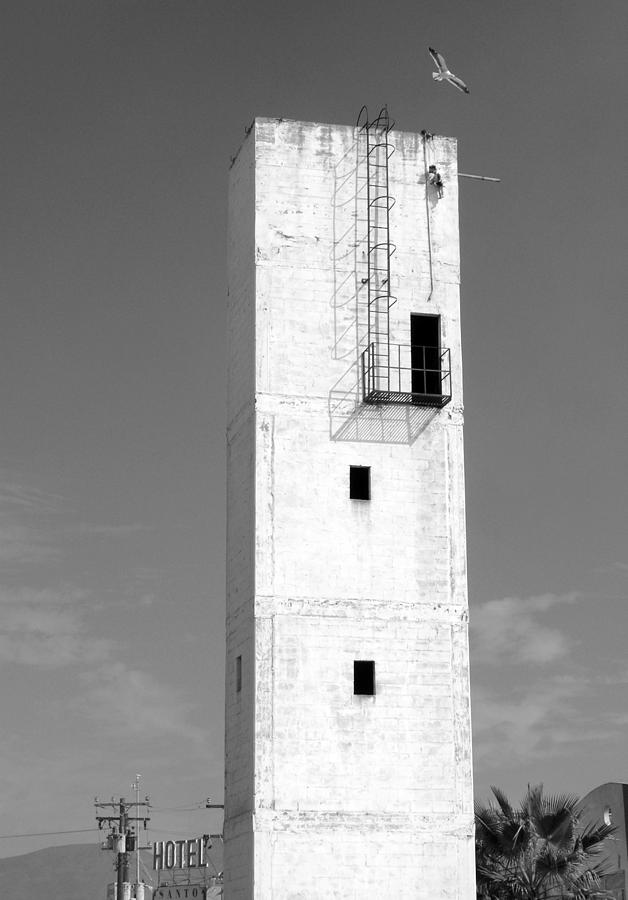 The Tower Photograph by Ramunas Bruzas
