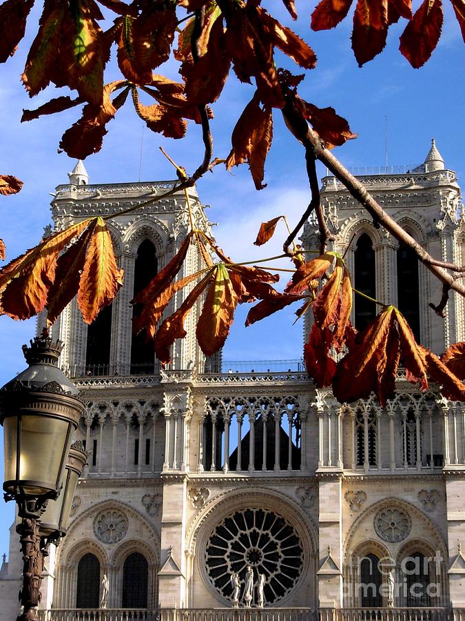 The Towers of Notre Dame de Paris Photograph by Mariana Costa Weldon