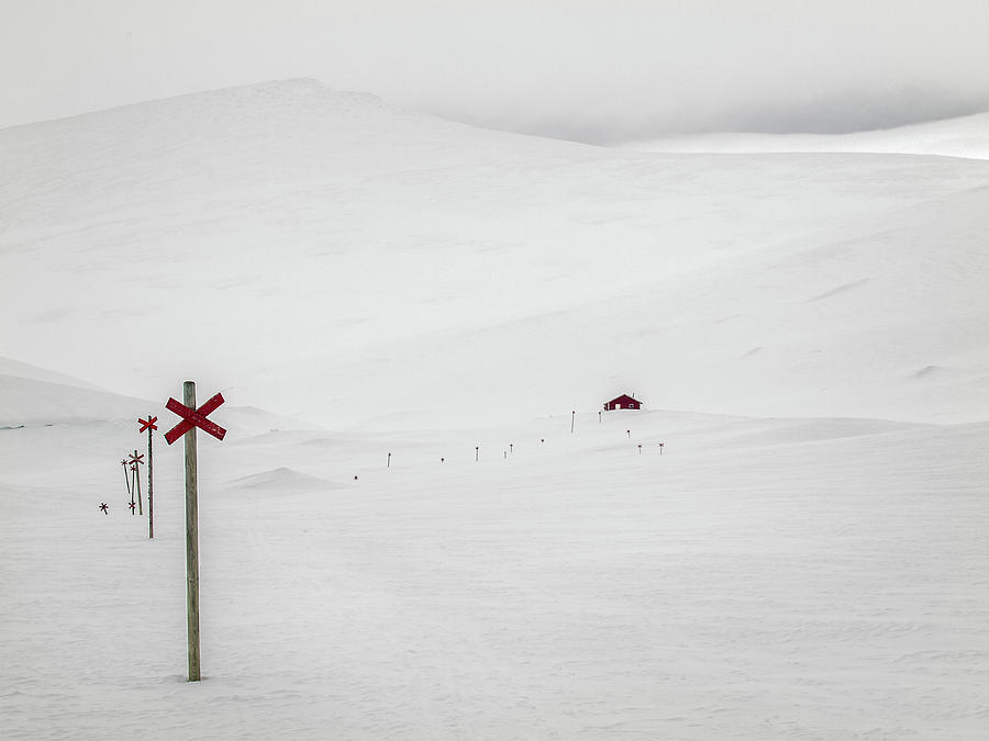 Winter Photograph - The Track by Eva M?rtensson