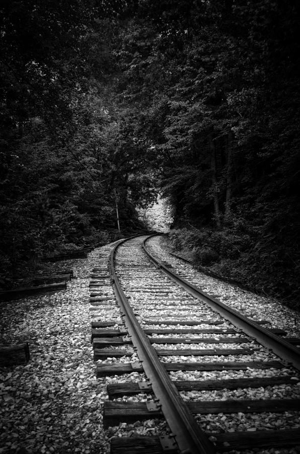 The Tracks Through The Woods in Black and White Photograph by Greg and Chrystal Mimbs