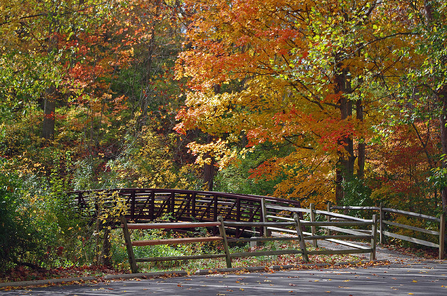 The Trail Beckons Photograph by Dyane Kirkland - Fine Art America