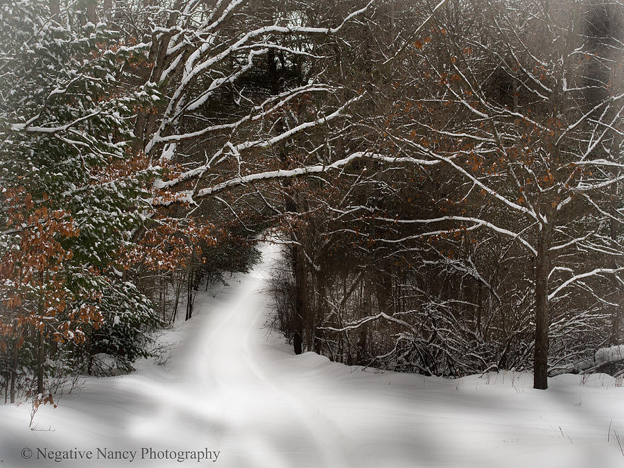 Winter Photograph - The Trail Less Travelled by Nancy Schroeder Szatkowski