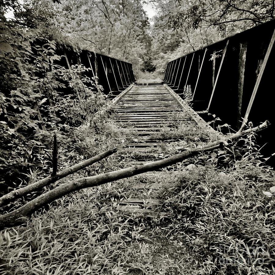 The Train Trestle In Washingtonville Photograph by Chet B Simpson ...