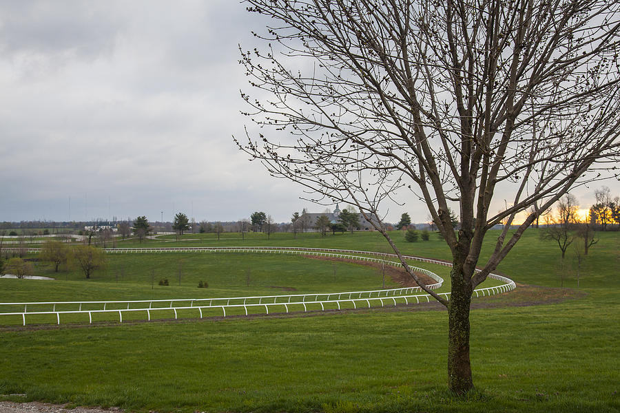 The Training Barn and Turf Track Photograph by Jack R Perry