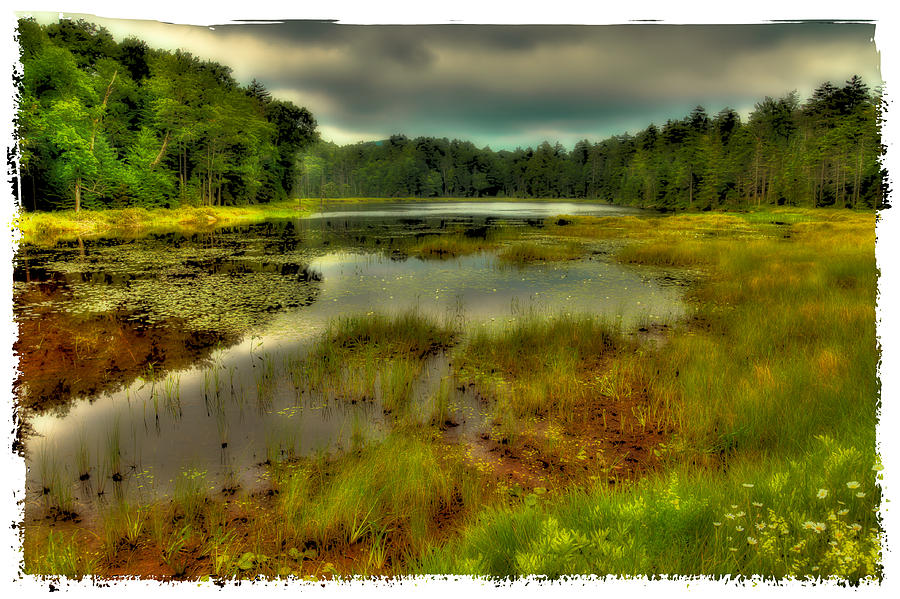 The Tranquility of Fly Pond Photograph by David Patterson