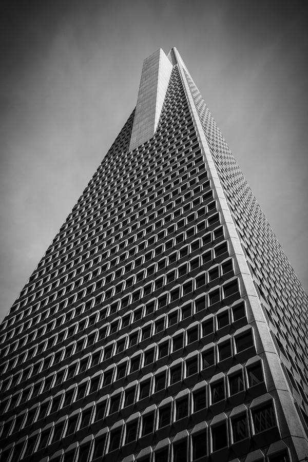 The Transamerica Pyramid Photograph by Lee Harland