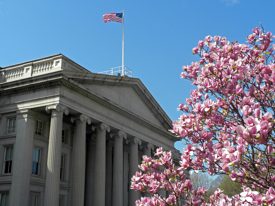 Spring Photograph - The Treasury Building by Dave Mills