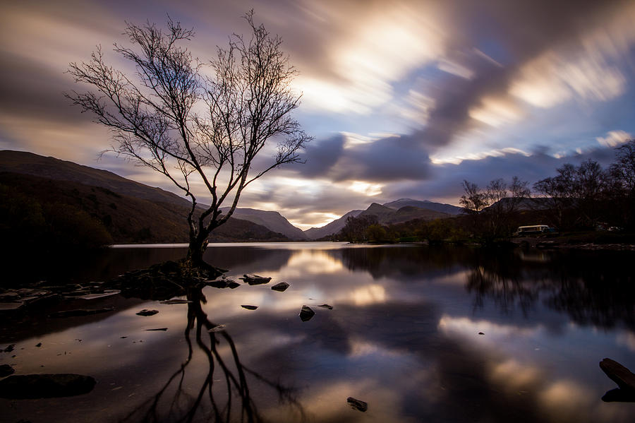 The tree at dawn Photograph by Aaron Crowe - Pixels