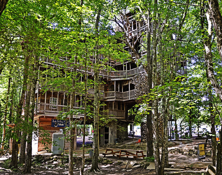 The Tree House Photograph by Paul Mashburn