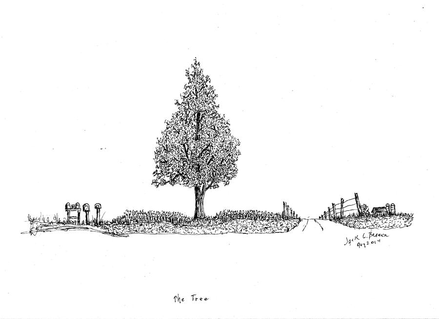 Summer Drawing - The Tree by Jack G  Brauer