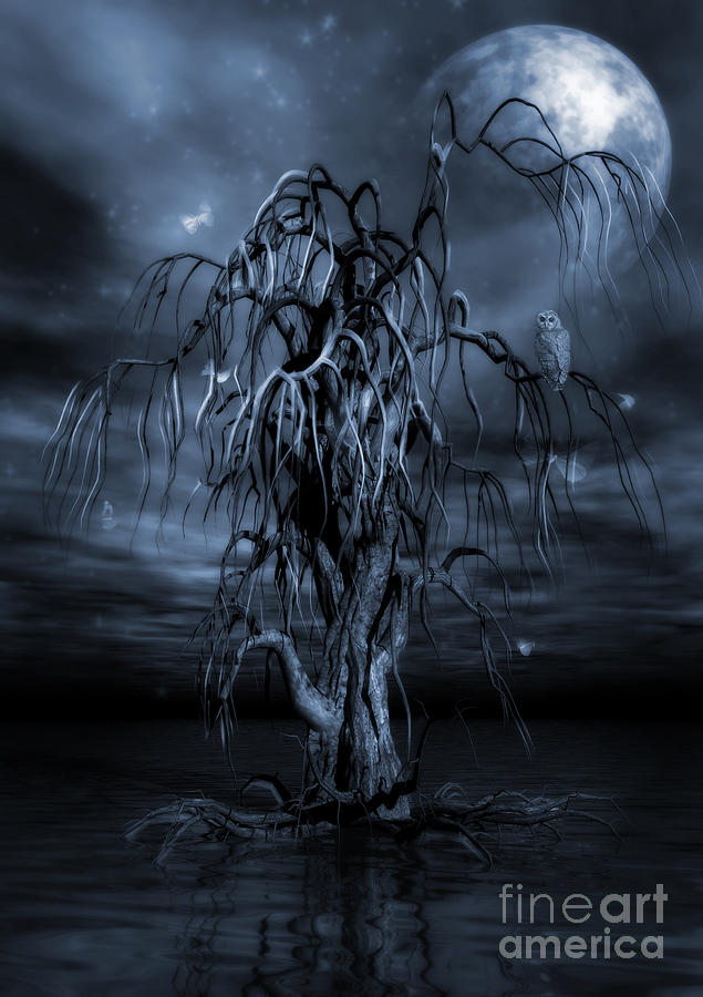 The Tree Of Sawols Cyanotype Painting