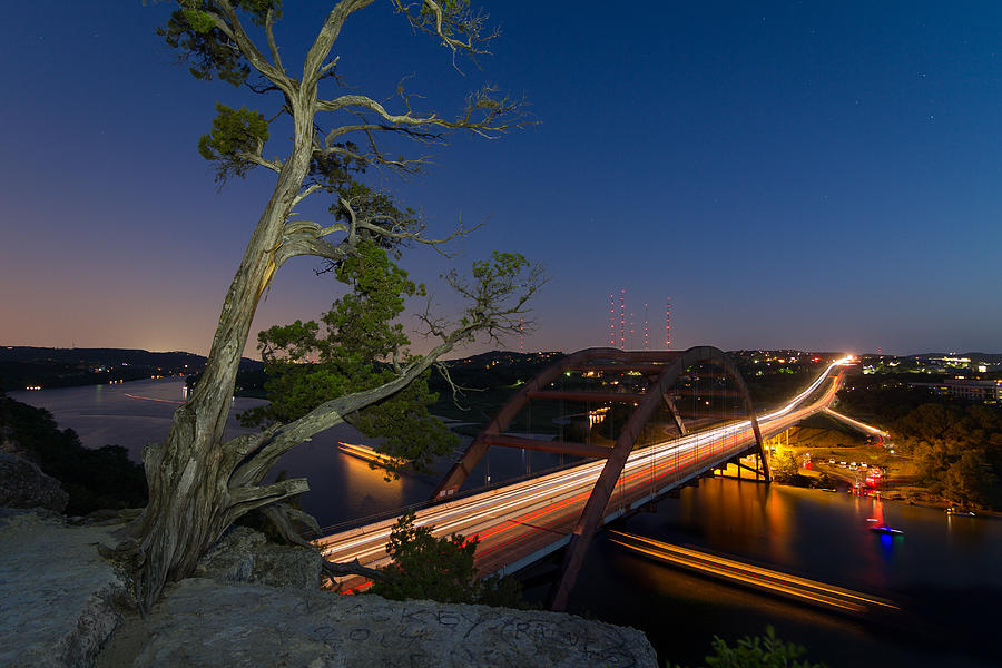 The Tree Over the Pennybacker Bridge Photograph by Tim Stanley