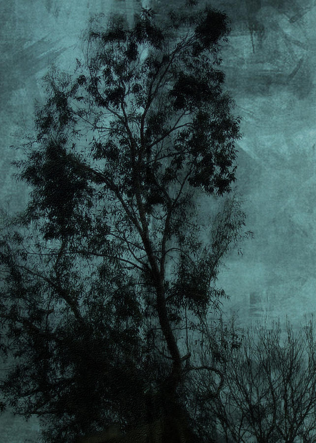 Tree Digital Art - The Tree by Sarah Vernon