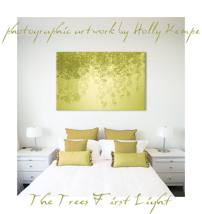 The Trees First Light Wall Art Photograph by Holly Kempe