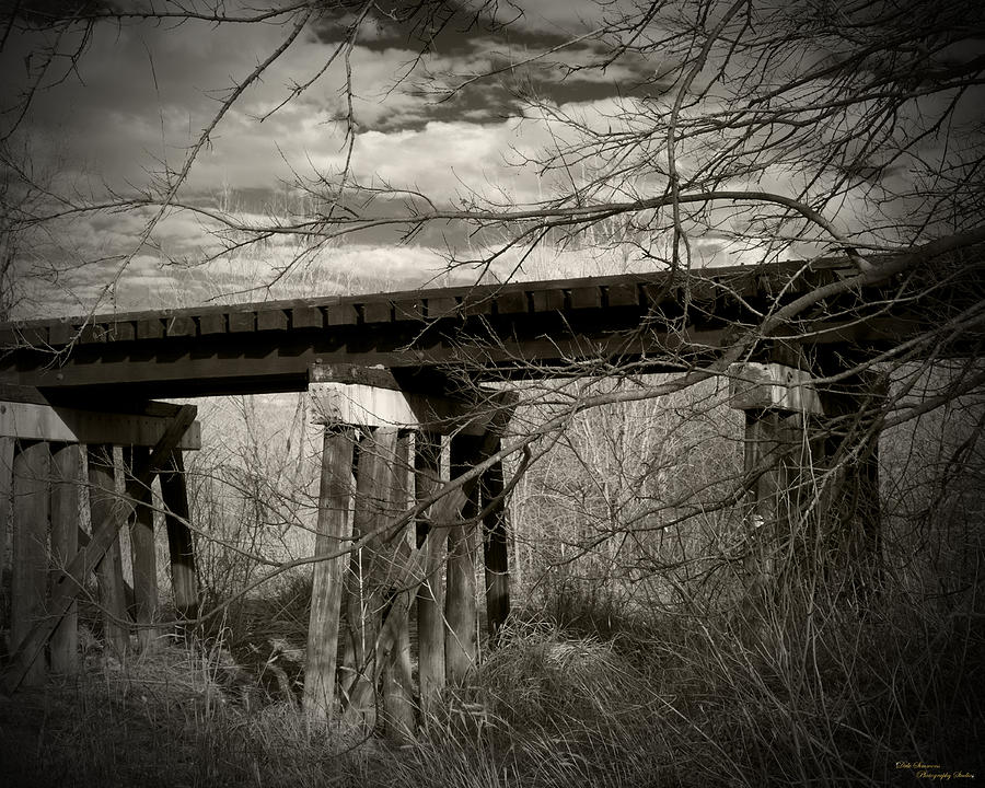 Bridge Photograph - The Trestle by Dale Simmons