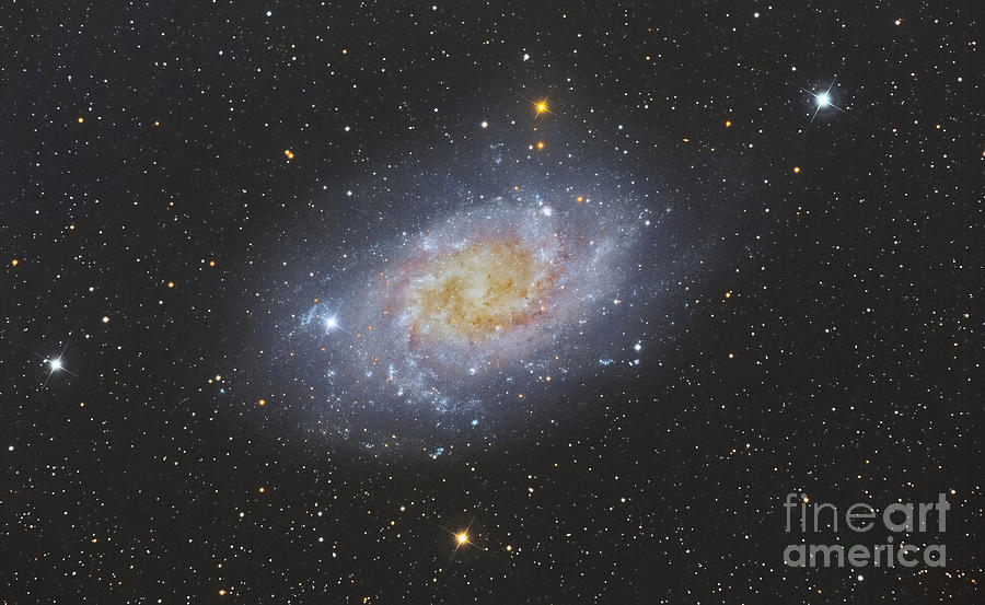 The Triangulum Galaxy, Also Known Photograph