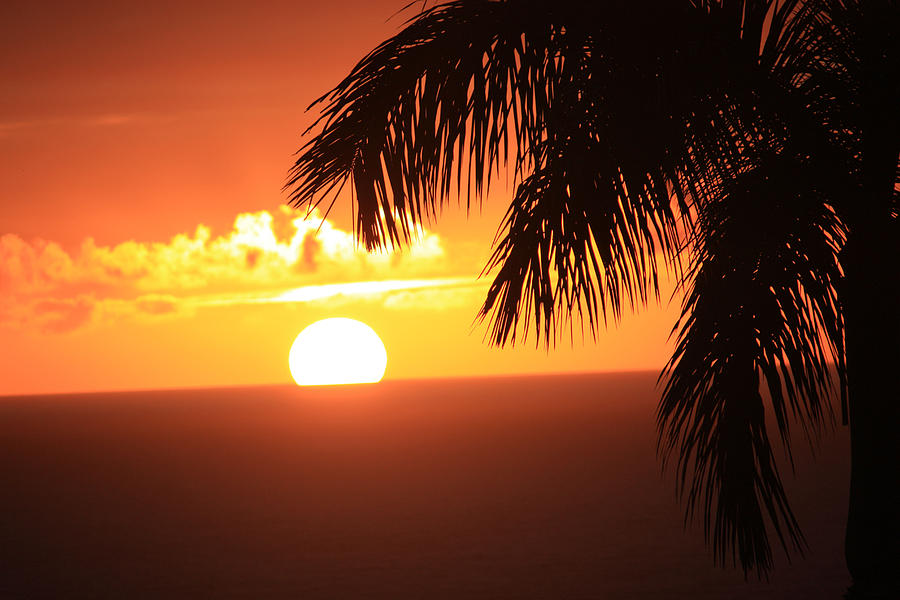 Sunset  - The Tropics by Karen Nicholson
