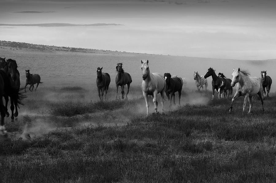 The Truth to Run Photograph by Bobbie Teal - Fine Art America