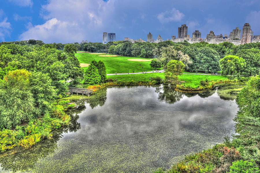 The Turtle Pond At Central Park Photograph by Randy Aveille