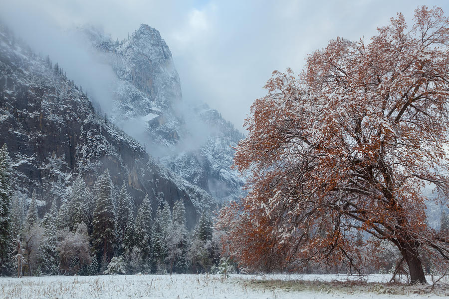 The Two Seasons Photograph by Jonathan Nguyen