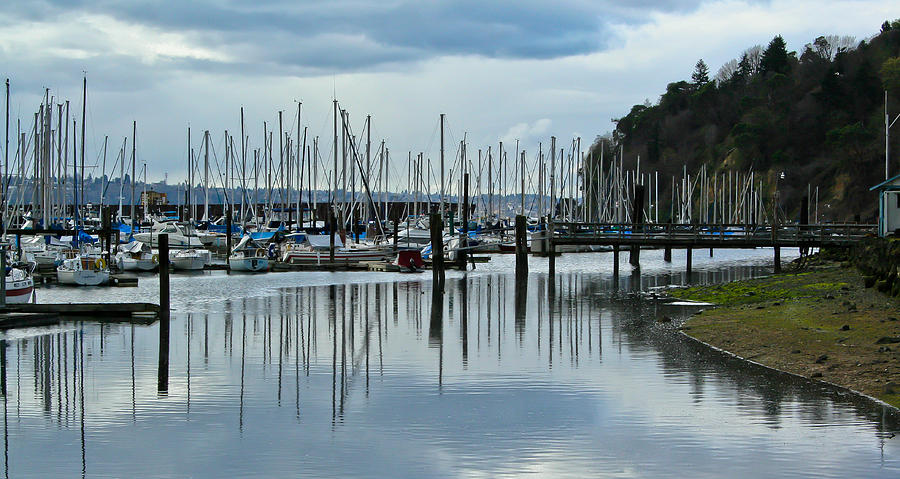 The Tyee Marina - Tacoma Washington Photograph by David Patterson