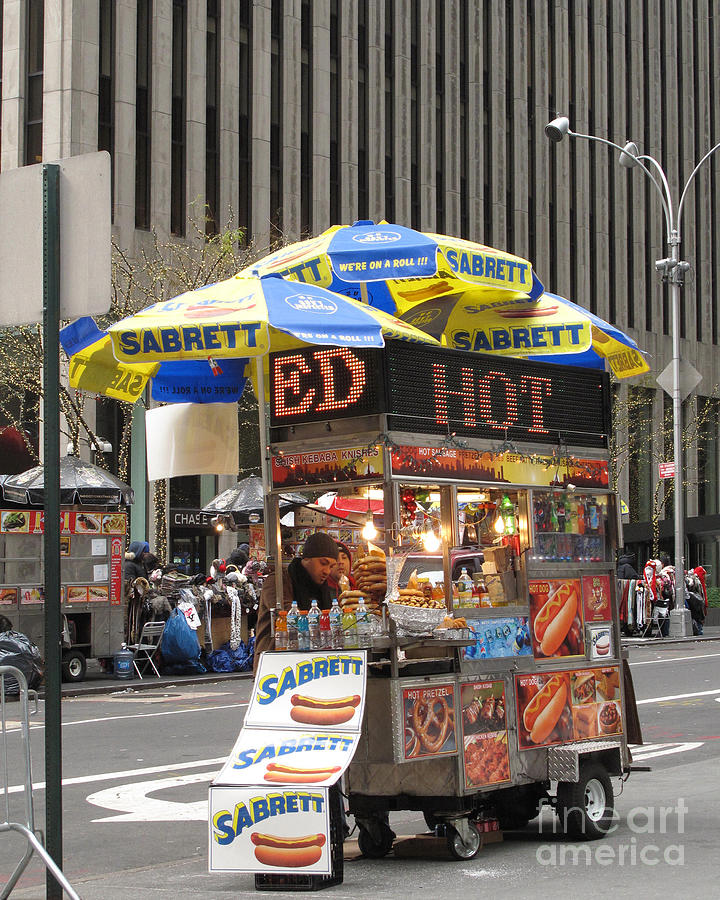 The Ubiquitous NYC Food Cart Photograph by Louise Peardon