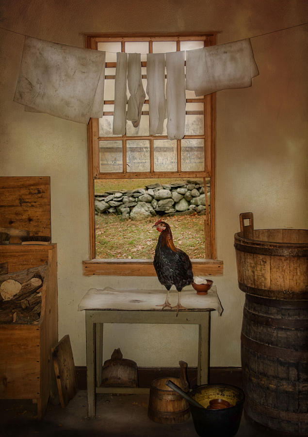 Rooster Photograph - The Unexpected Guest by Robin-Lee Vieira