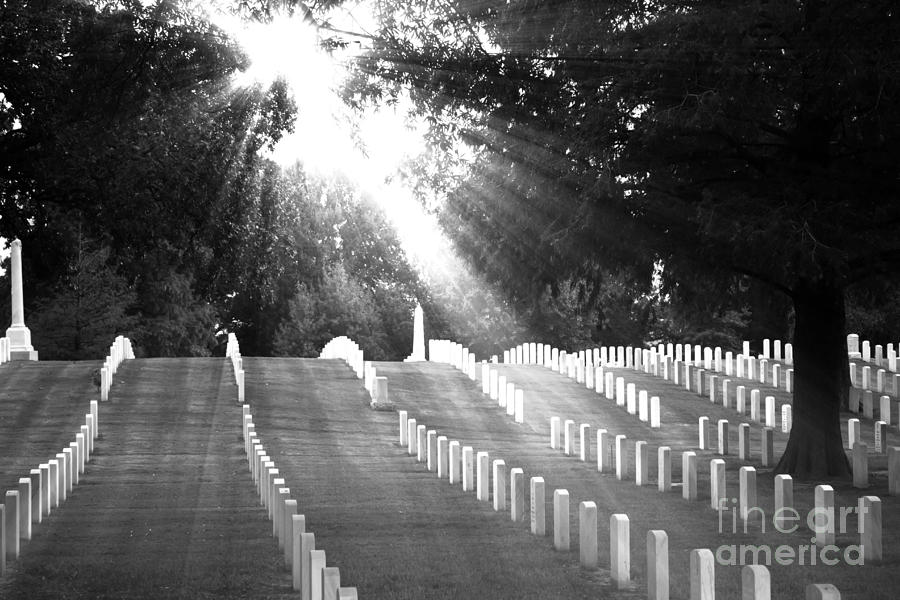The Unknown Soldiers Photograph by Ms Judi