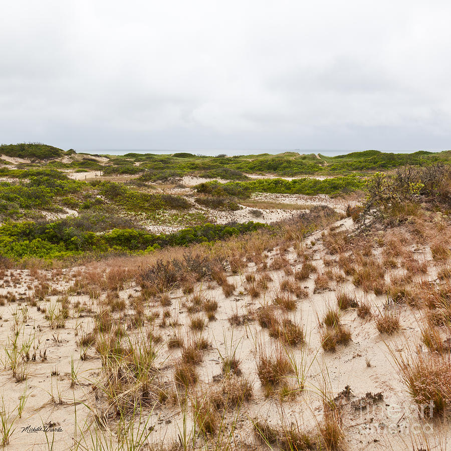 The Unspoiled Cape Cod National Seashore Photograph by Michelle Constantine
