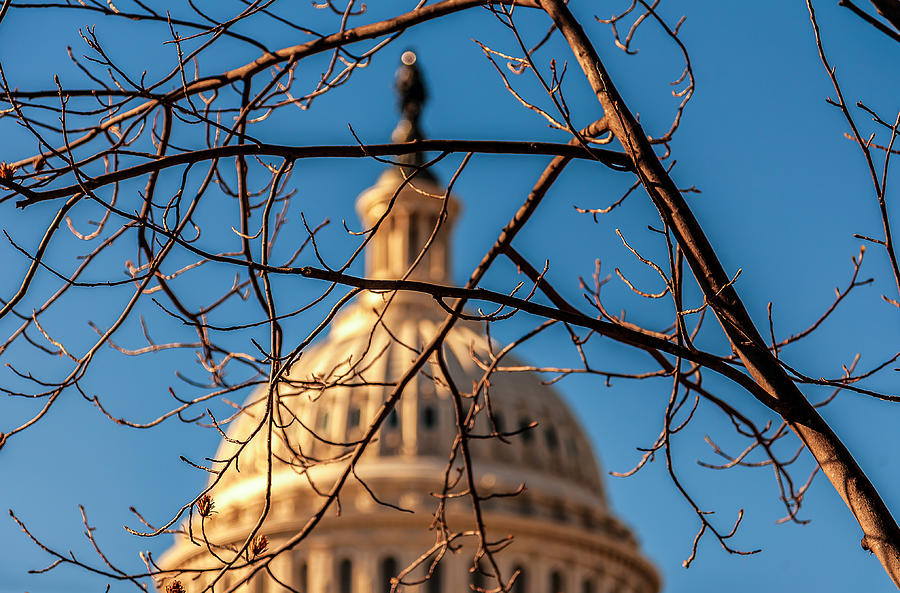 The US Capitol Photograph by Paulo Da Cruz - Fine Art America