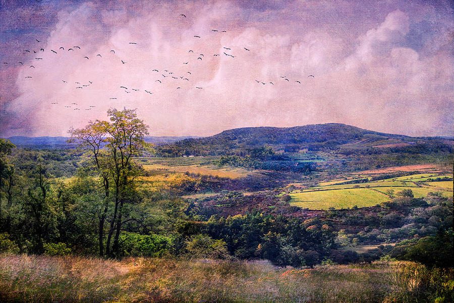 Farm Photograph - The Valley by John Rivera
