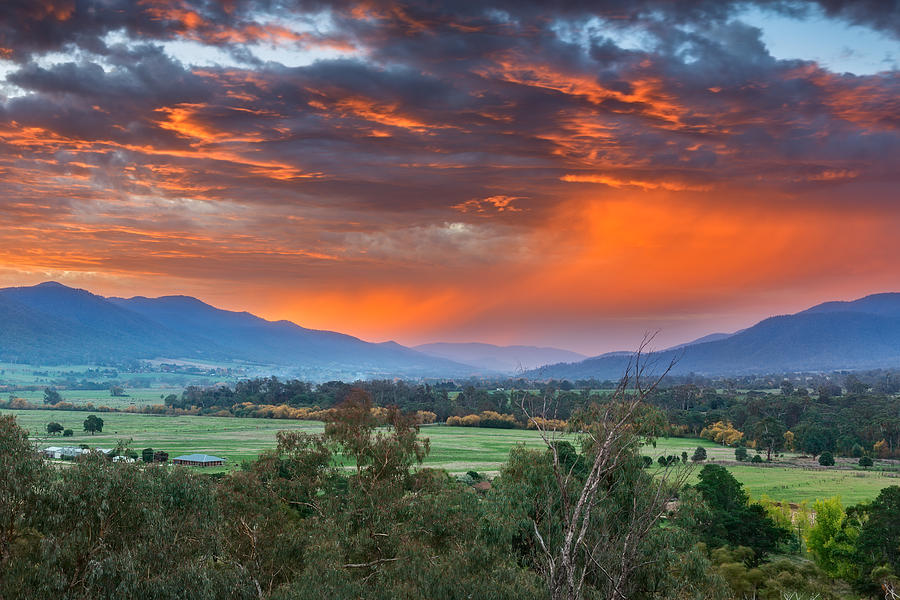 The Valley Red Photograph by Mark Lucey