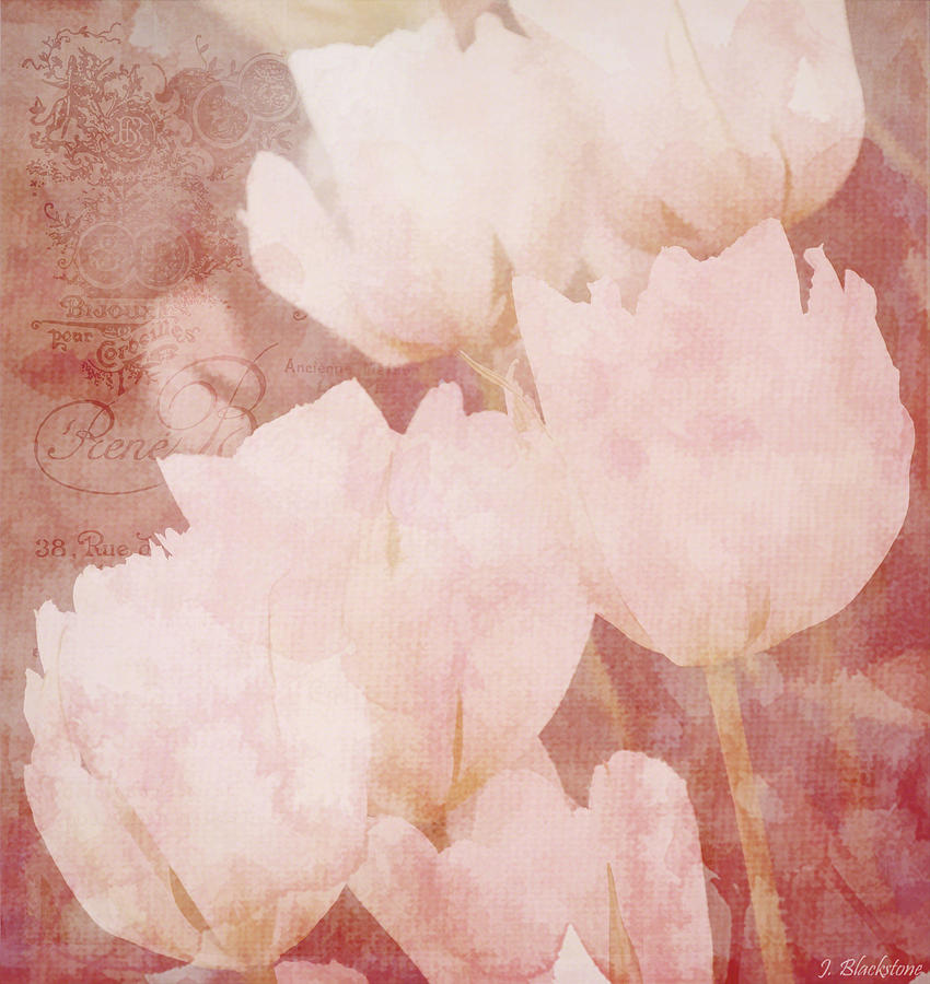 Spring Photograph - The Value Of A Moment - Vintage Art by Jordan Blackstone by Jordan Blackstone