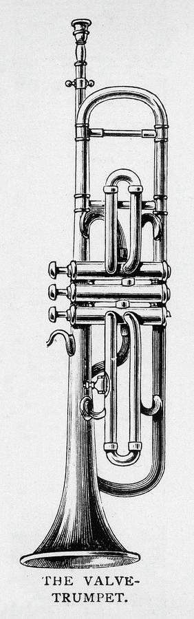 Music Drawing - The Valve Trumpet Is A  Sophisticated by Mary Evans Picture Library