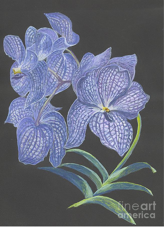 The Vanda Orchid Painting by Carol Wisniewski
