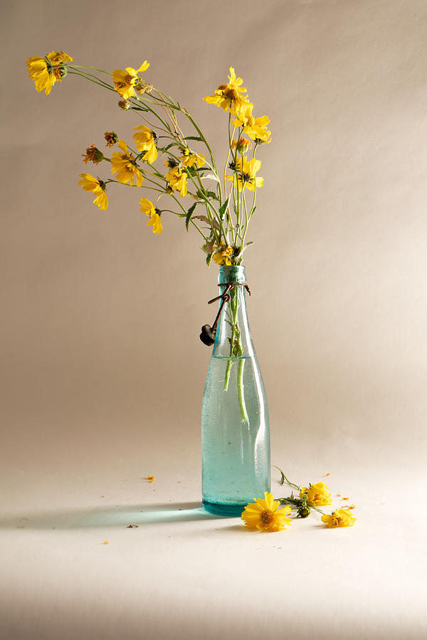 The Vase Photograph by Mary Lee Dereske