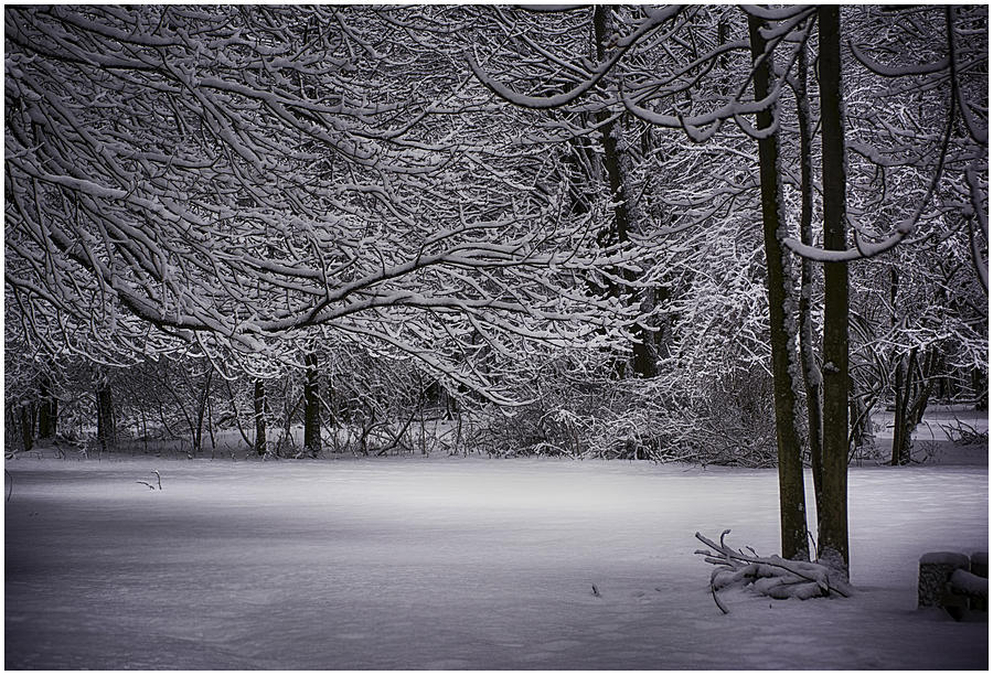 Winter Photograph - The Vastness Of It All by Fresh Focus Photography