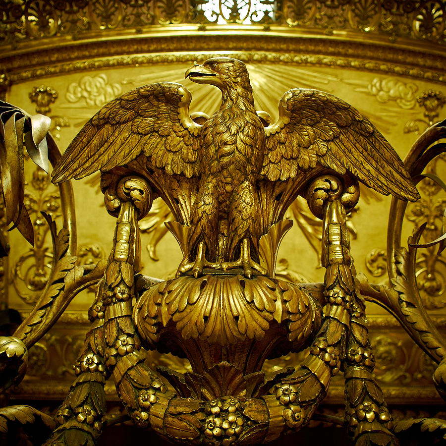 The Vatican Eagle Photograph