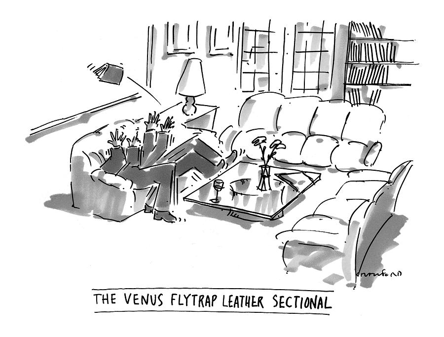 The Venus Flytrap Leather Sectional Drawing by Michael Crawford