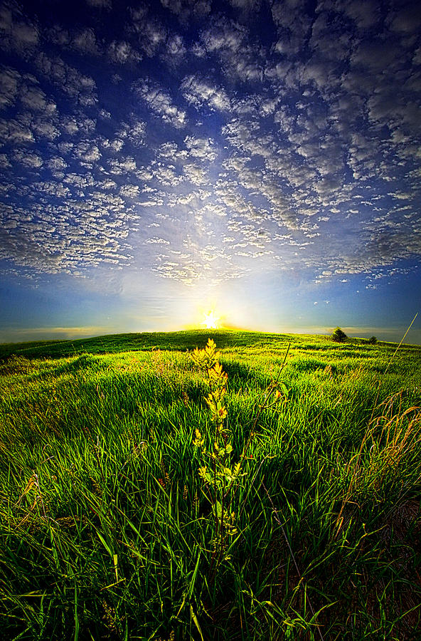 The Verge of Waking Photograph by Phil Koch