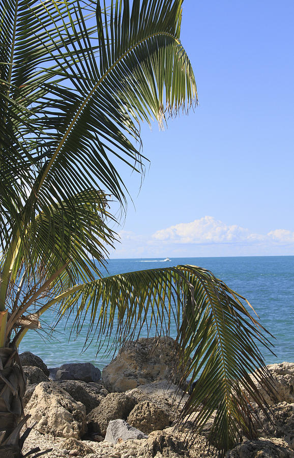 Key West Ocean View Photograph by Bob Slitzan