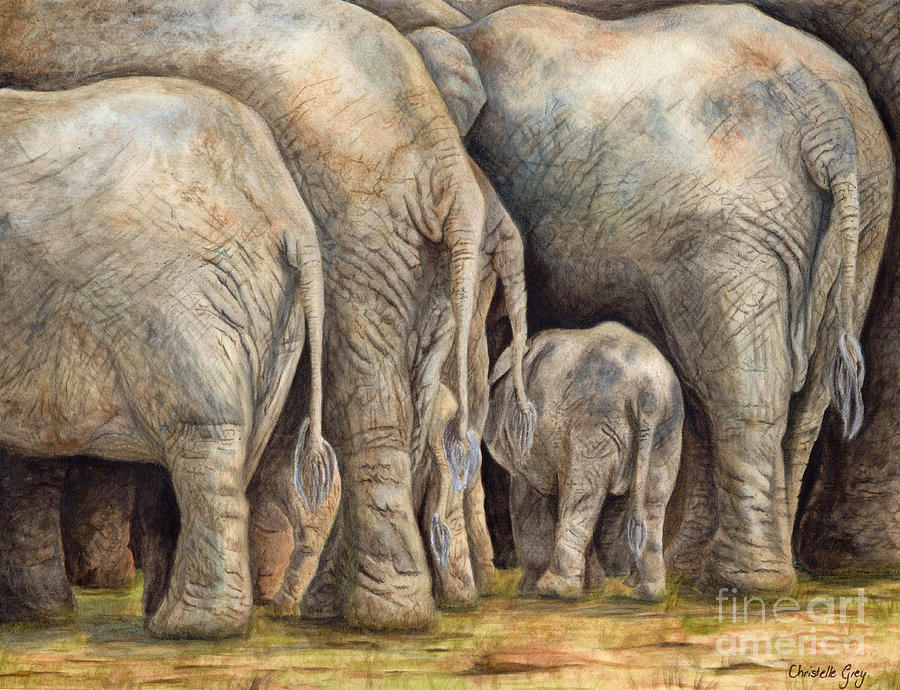 Elephant Painting - The View by Christelle Grey