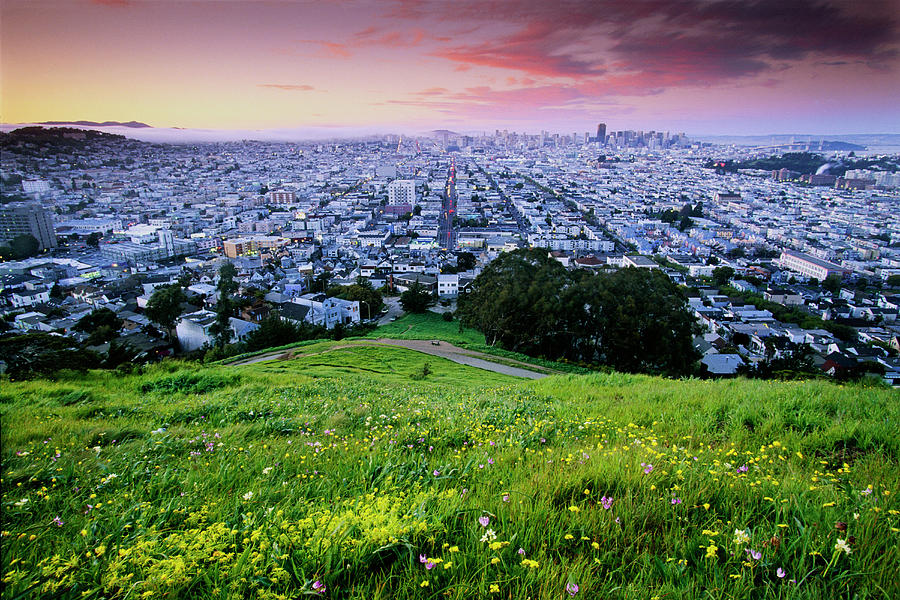Flower Photograph - The View From Bernal Hill Takes by Eric Rorer