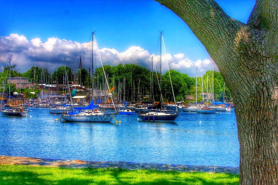 The View From Harbor Island Park Photograph by Aurelio Zucco