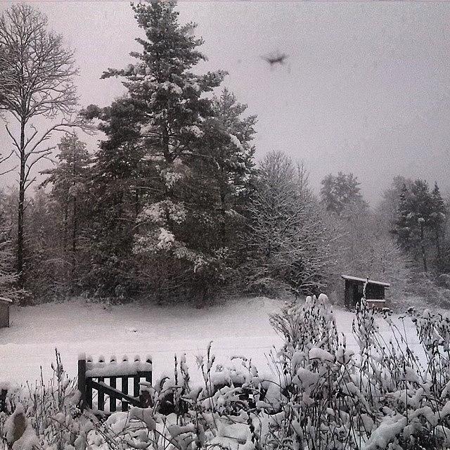 Danbury Photograph - First Snow Of 14 by Mia Lee